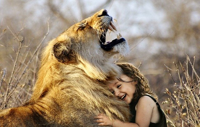 ライオンと少女が喜ぶ姿